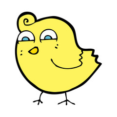 cartoon funny bird