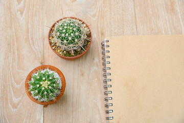 cactus background and decorated on table