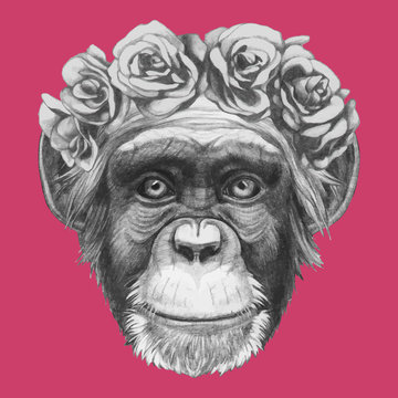 Hand drawn portrait of Monkey with floral head wreath. Vector isolated elements