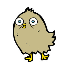 funny cartoon bird