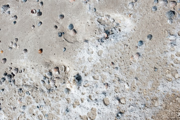 Detail im Wattenmeer