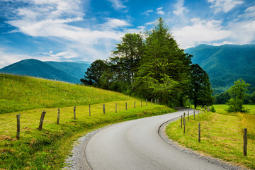 Paved trail at Cades Cove Great Smoky Mountains National Park i - obrazy, fototapety, plakaty