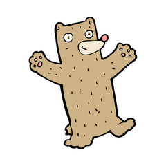 cartoon bear