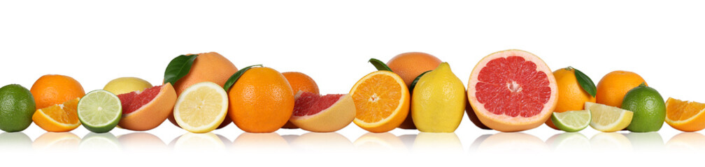 Früchte Orangen Zitronen Grapefruit in einer Reihe Freisteller