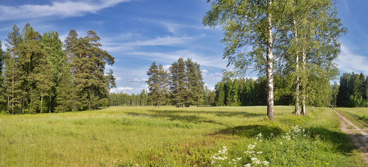 Летний пейзаж в пригородном парке  © Рolya