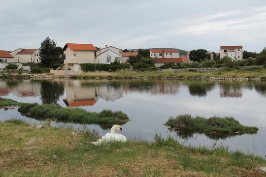 Zablace / The village on the Adriatic Sea near Sibenik (Croatia).