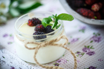  yogurt with mulberry