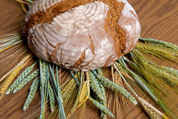 Obraz premium round bread with cereals