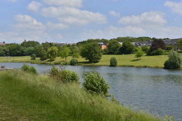 Fototapeta premium La nature autour du lac du parc à Louvain-la-Neuve