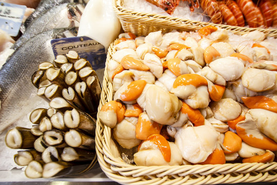 Raw scallops and solens (razor shells) for sale at the Toulouse fish market, France 