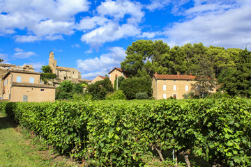 Fototapeta na wymiar Vines at outskirts of Puymeras village in Provence-Alpes-Côte d'Azur region, France.