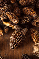 Raw Organic Morel Mushrooms