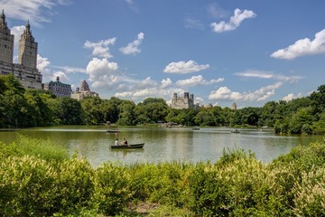 Fototapeta premium Central Park New York