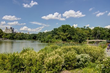 Central Park New York