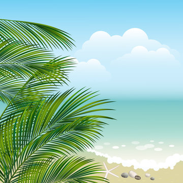 Seaside view on beach with palm leaves