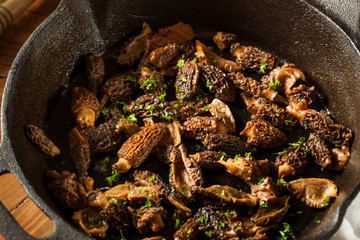 Organic Sauteed Morel Mushrooms