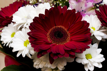 bouquet with daisies and gerberas
