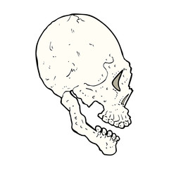 skull illustration