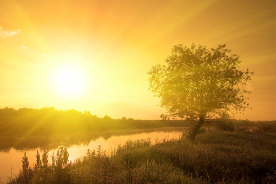 sunrise