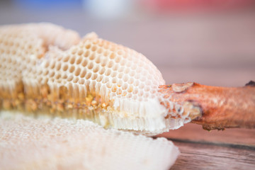 Fototapeta na wymiar honeycomb