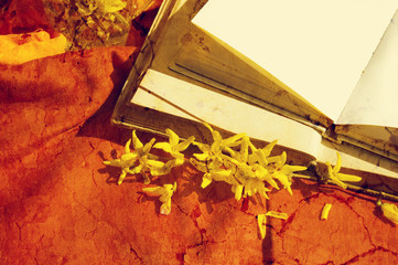 Empty open books on a fabric background with spring yellow flowers in vintage style