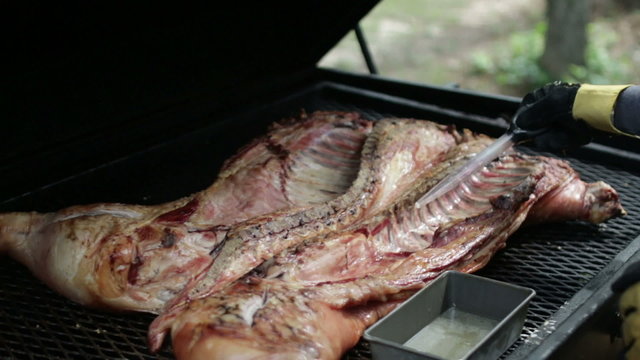 Whole southern pig being grilled slowly on the outdoor cooker