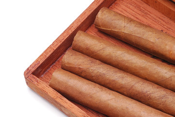 Cigars in Wood Box