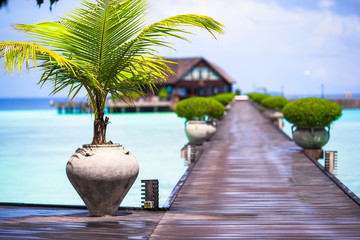 Beautiful tropical view of perfect ideal island and wooden jetty
