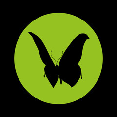 silhouette butterfly