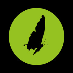 silhouette butterfly
