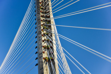 Fototapeta premium Pontevedra, Galicia, España, pilono del Puente de los Tirantes