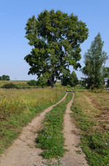 Dirt road in small village