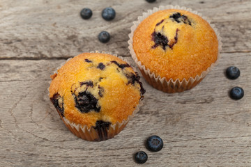 Homemade Blueberry Muffins. Selective focus.