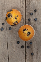 Homemade Blueberry Muffins. Selective focus.