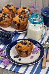 Homemade Blueberry Muffins. Selective focus.