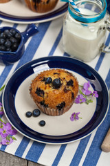 Homemade Blueberry Muffins. Selective focus.