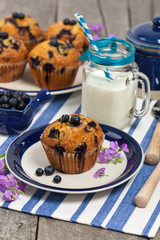 Homemade Blueberry Muffins. Selective focus.