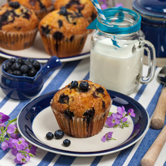 Homemade Blueberry Muffins. Selective focus.