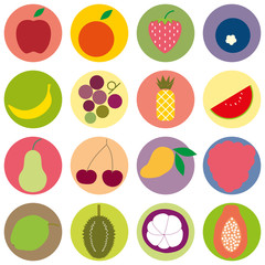 colored random fruit vector