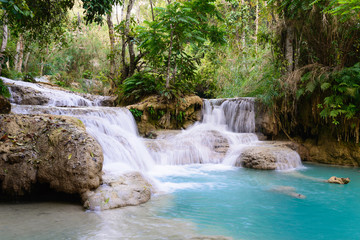 Fototapeta na wymiar Kouangxi waterfall at Luang Prabang in Laos.