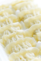 Chinese dim sum, meat dumpling