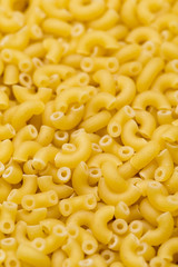 Macaroni Italian pasta