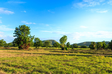Fototapeta na wymiar Landscape of mountain tree and blue sky in countryside.