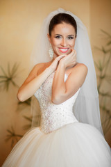 Beautiful bride portrait
