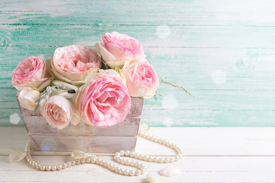 Sweet pink roses in box