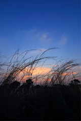 Obraz premium Twilight countryside, hay