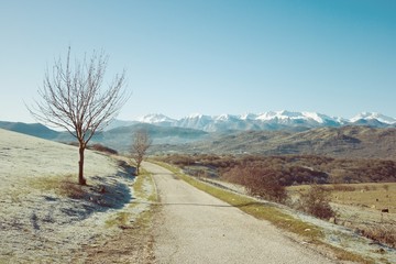 Mountains in the background