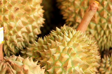 Fototapeta premium durian
