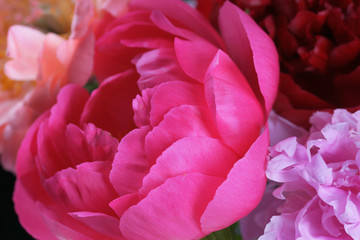 Букет розовых пионов