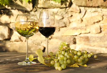 Pair of wineglasses and bunch of grapes. Lavaux region, Switzerl